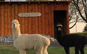 Urlaub Auf Dem Bauernhof Hedwigshoehe