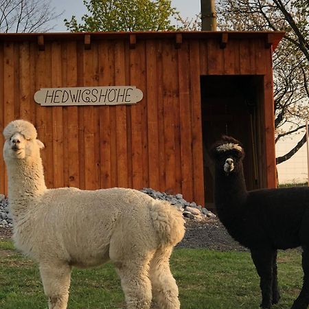 Urlaub Auf Dem Bauernhof Hedwigshoehe Hohnstein Exterior foto