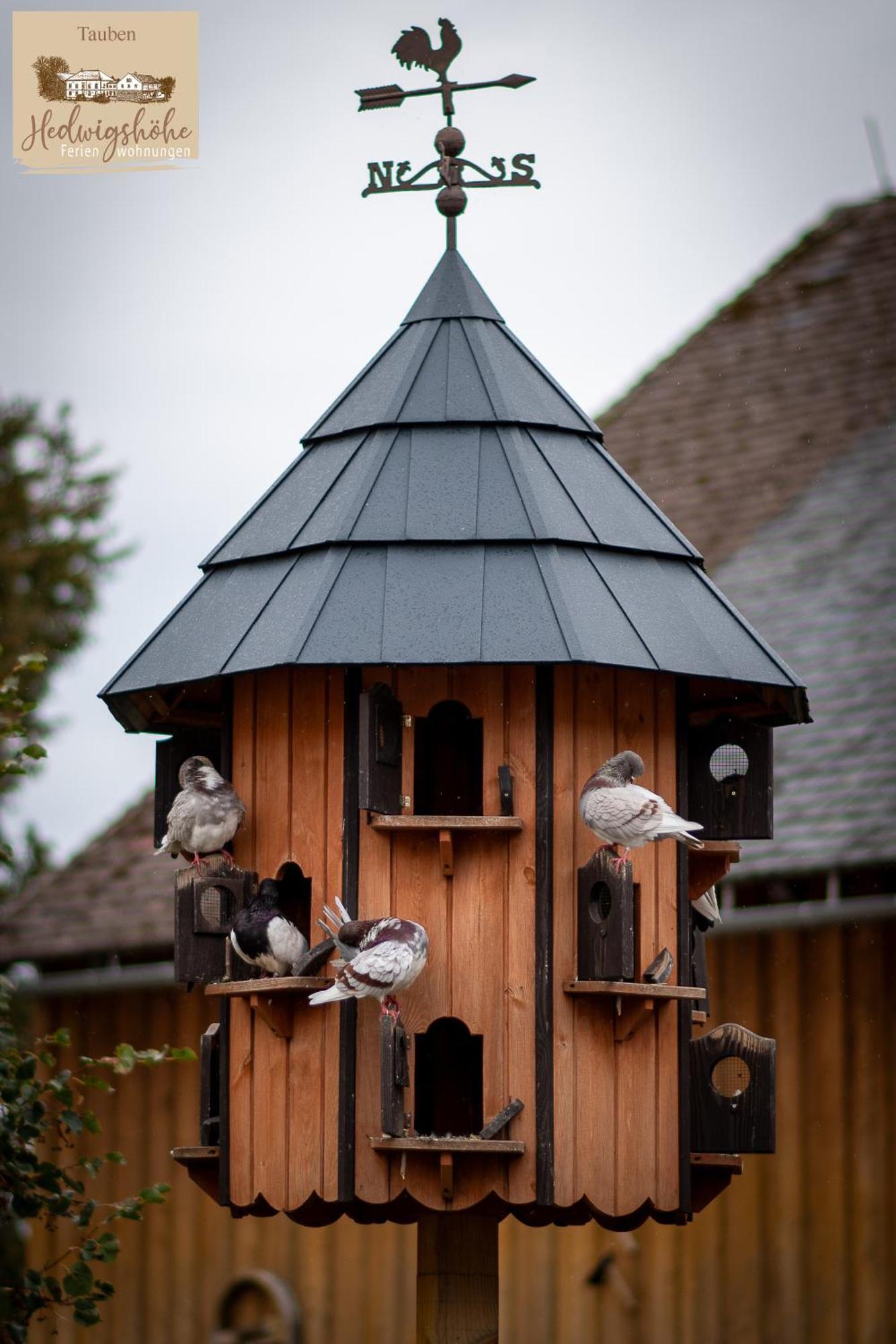 Urlaub Auf Dem Bauernhof Hedwigshoehe Hohnstein Exterior foto